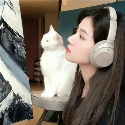 风流才子翻转天